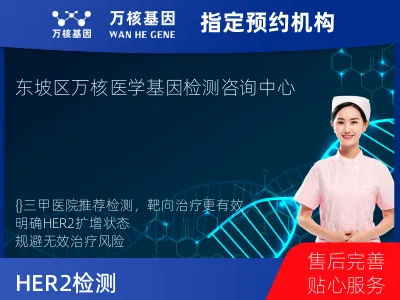 HER2拷贝数变异检测