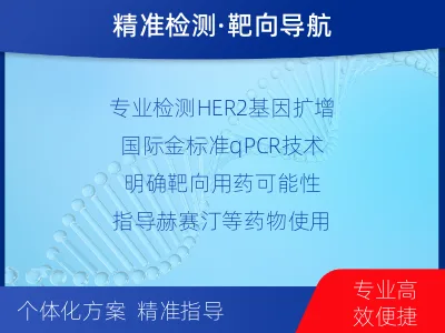 双江-HER2检测-检测介绍