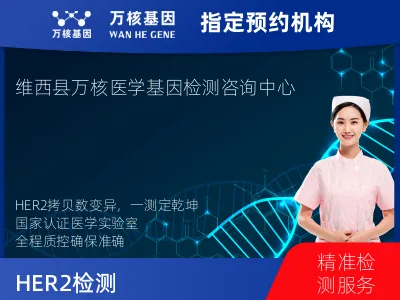 HER2拷贝数变异检测