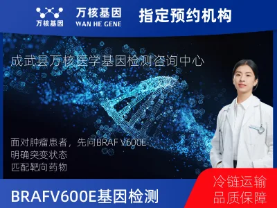 BRAF V600E基因突变检测