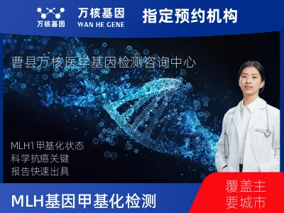 MLH1基因甲基化检测