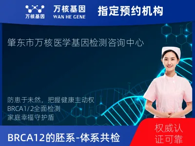 BRCA1/2的胚系-体系共检测