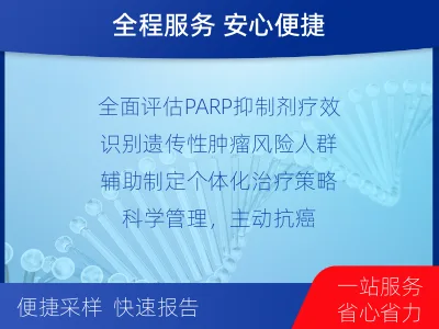 定陶-BRCA12的胚系-体系共检-适用人群