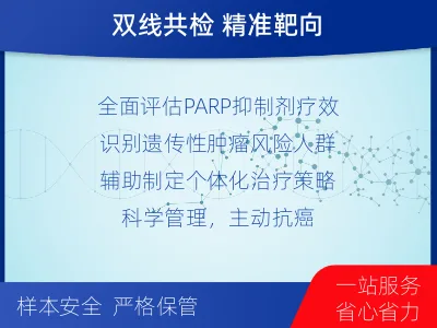 饶平-BRCA12的胚系-体系共检-报告解读