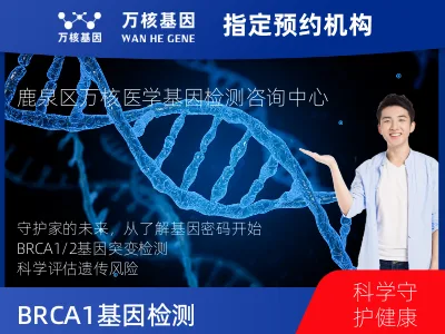 BRCA1/2基因突变检测