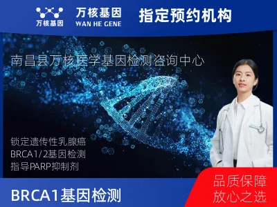 BRCA1/2基因突变检测