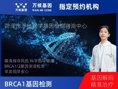 BRCA1/2基因突变检测