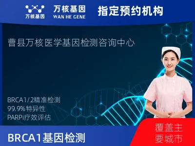 BRCA1/2基因突变检测