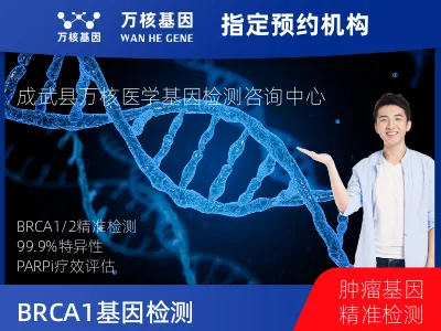 BRCA1/2基因突变检测