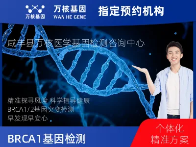 BRCA1/2基因突变检测