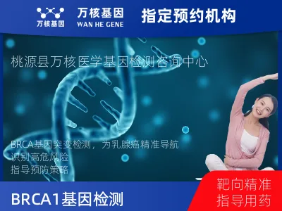 BRCA1/2基因突变检测