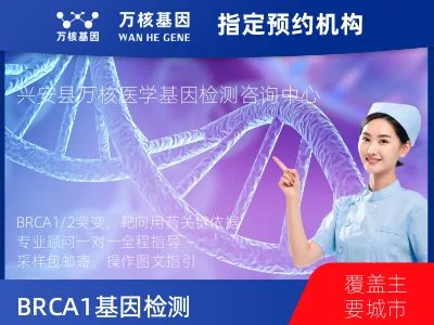 BRCA1/2基因突变检测