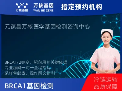 BRCA1/2基因突变检测