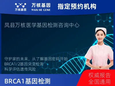 BRCA1/2基因突变检测