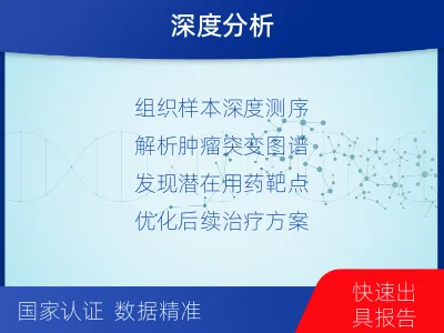 乌海-肿瘤全外显子测序-检测流程