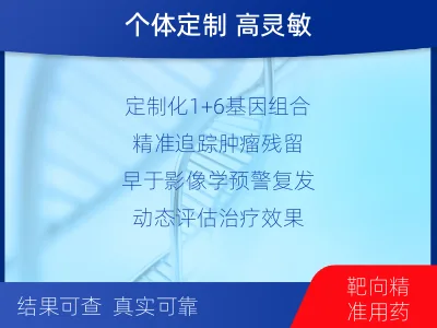 新密-1实体瘤定制化MRD基因检测-报告解读