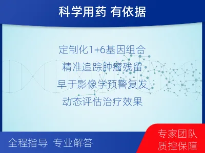 青铜峡-1实体瘤定制化MRD基因检测-报告解读