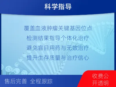 芒康-血液肿瘤综合检测-检测流程