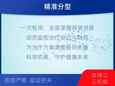 白银-血液肿瘤综合检测-检测流程