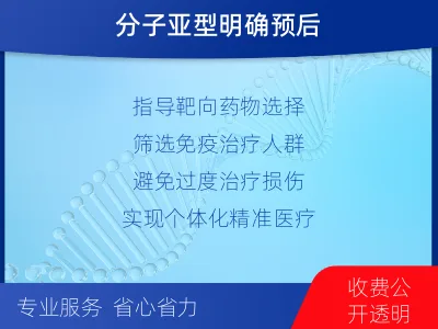 桃城-子宫内膜癌分子分型检测-适用人群