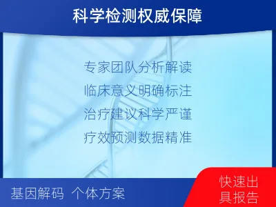 武强-子宫内膜癌分子分型检测-检测流程
