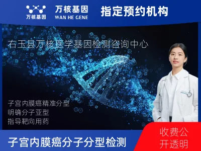 子宫内膜癌分子分型检测