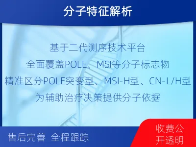 湖州-子宫内膜癌分子分型检测-报告解读