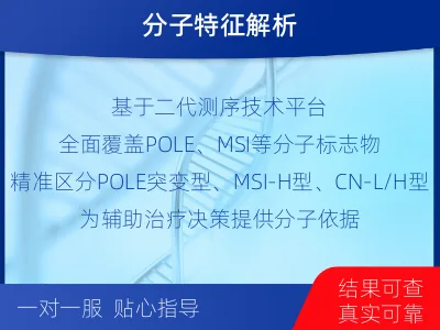 青云谱-子宫内膜癌分子分型检测-报告解读