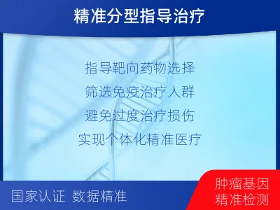 新建-子宫内膜癌分子分型检测-检测介绍