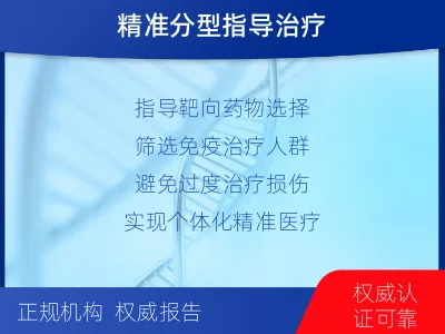 成武-子宫内膜癌分子分型检测-检测流程