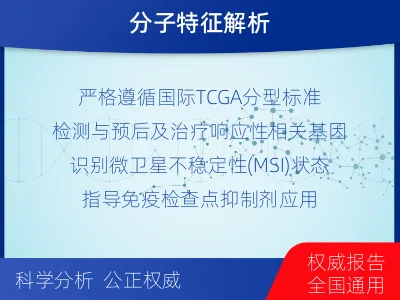 利川-子宫内膜癌分子分型检测-检测介绍