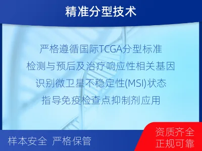 泸溪-子宫内膜癌分子分型检测-检测介绍