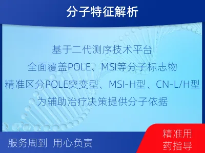 泸溪-子宫内膜癌分子分型检测-适用人群