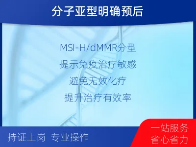 香洲-子宫内膜癌分子分型检测-检测介绍