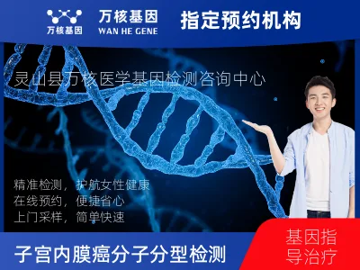 子宫内膜癌分子分型检测