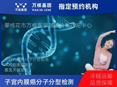 子宫内膜癌分子分型检测