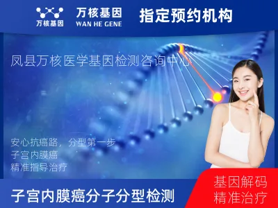 子宫内膜癌分子分型检测