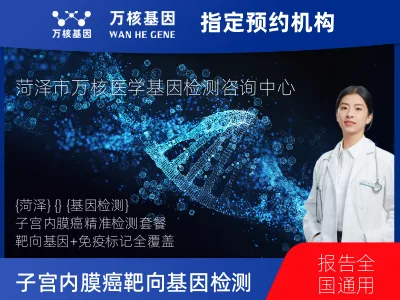子宫内膜癌靶向120基因检测及PDL122C3表达检测套餐（组织）