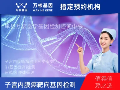 子宫内膜癌靶向120基因检测及PDL122C3表达检测套餐（组织）