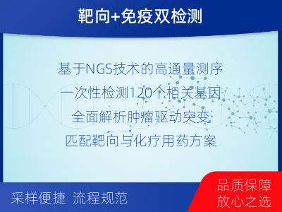 汉阳-子宫内膜癌靶向基因检测-检测流程