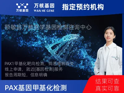 PAX1基因甲基化检测