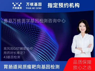 胃肠道间质瘤靶向43基因检测（组织）