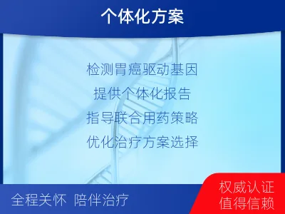 井冈山-胃癌全面用药基因检测-检测介绍