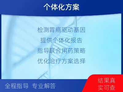 衡东-胃癌全面用药基因检测-检测流程