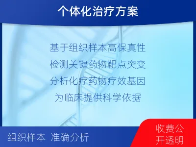 资阳-胃癌全面用药基因检测-检测流程