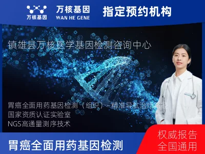 胃癌全面用药基因检测（组织）