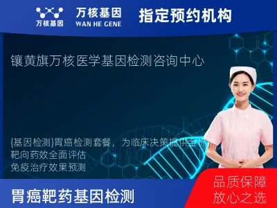 胃癌靶向用药39基因检测及PDL122C3表达检测套餐（组织）