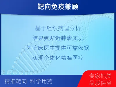 鹤山-胃癌靶药基因检测-报告解读