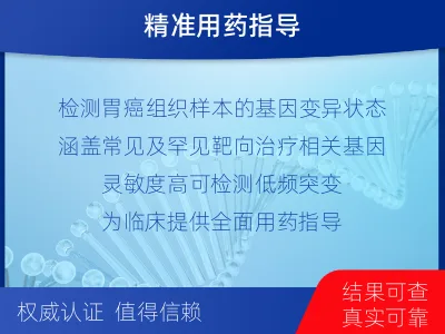 衡水-胃癌靶药基因检测-适用人群