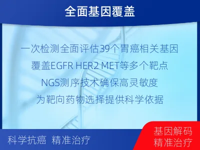 新兴-胃癌靶药基因检测-报告解读